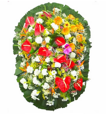 Coroa de Flores Alpina K