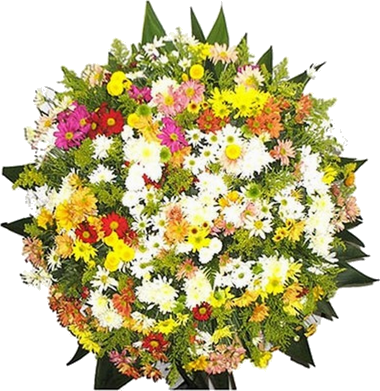 Coroa de Flores Alpina B